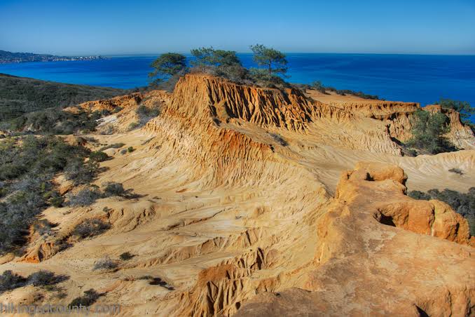 Torrey Pines State Reserve