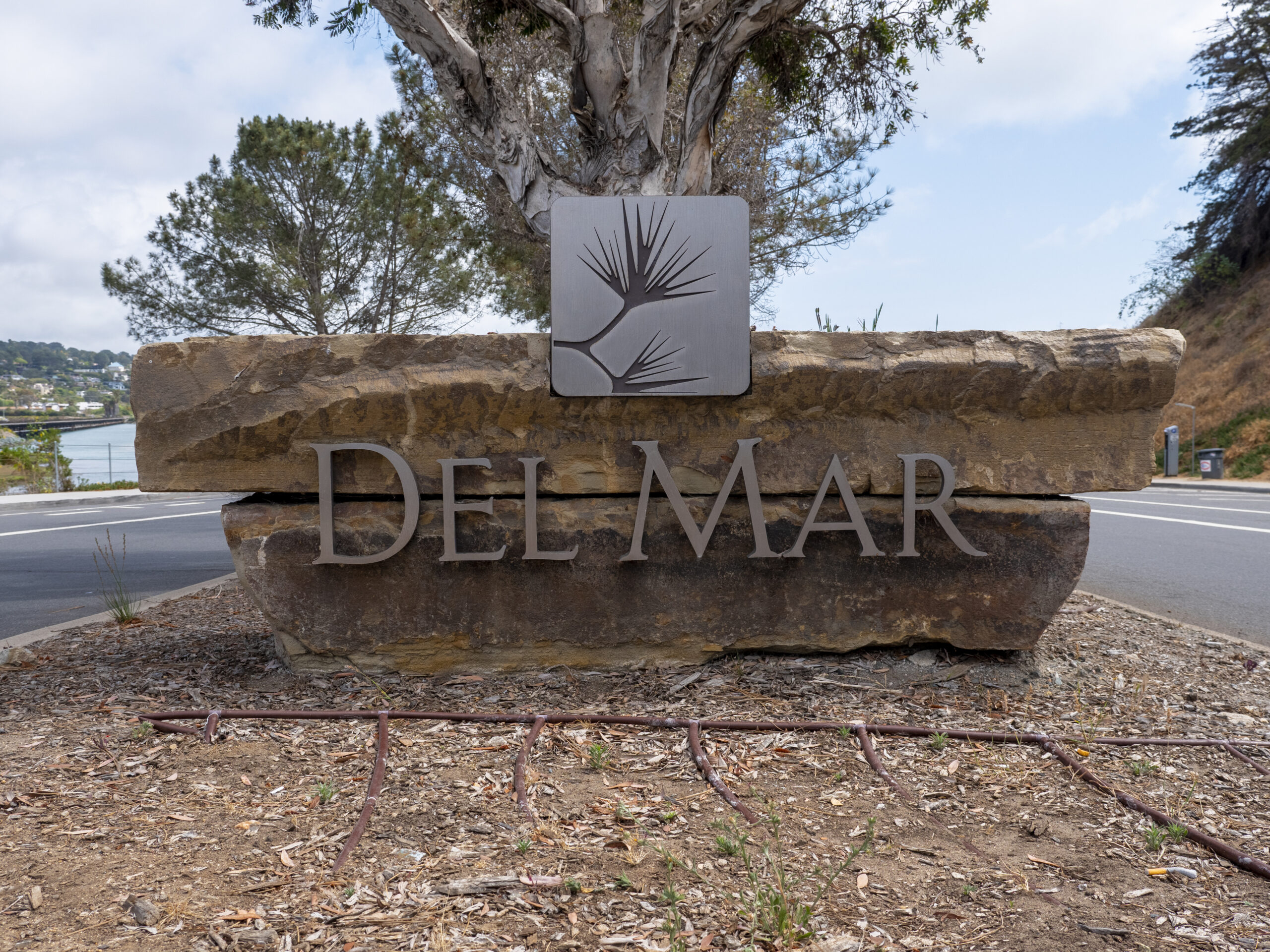 Del Mar neighborhood