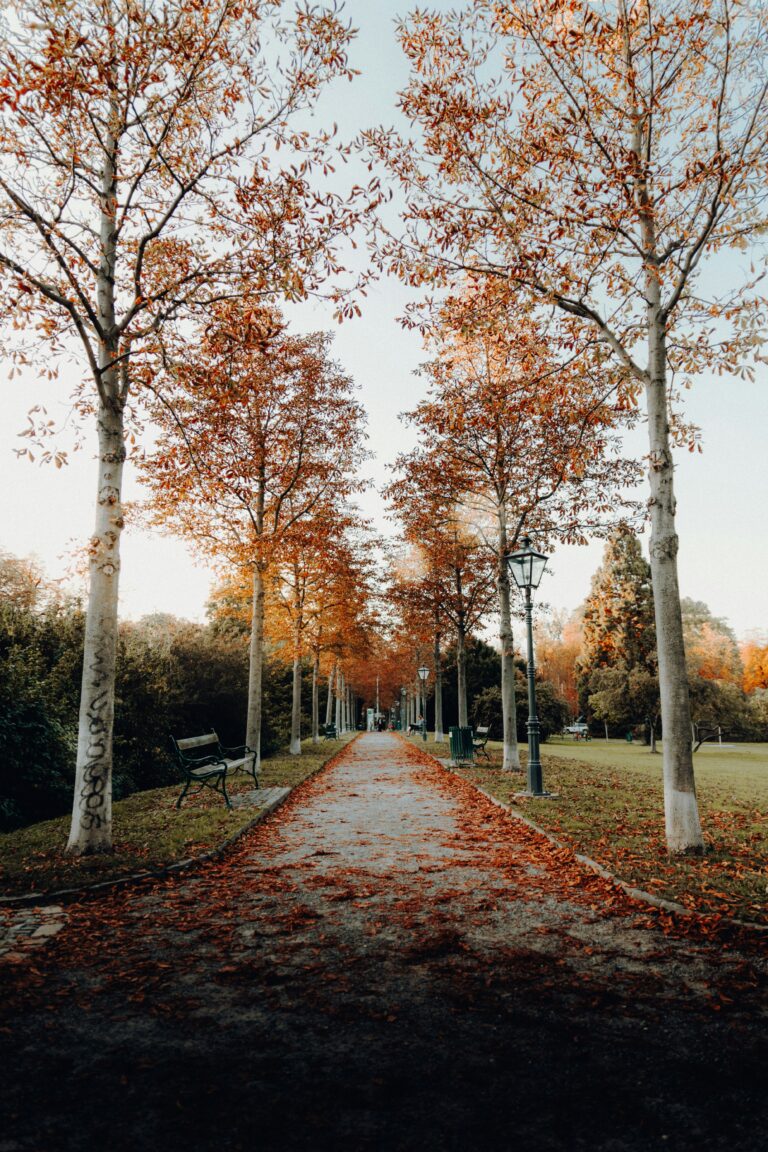 daniel-j-schwarz-RJgfHWgfmlE-unsplash
